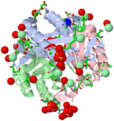 Image Asym./Biol. Unit - sites