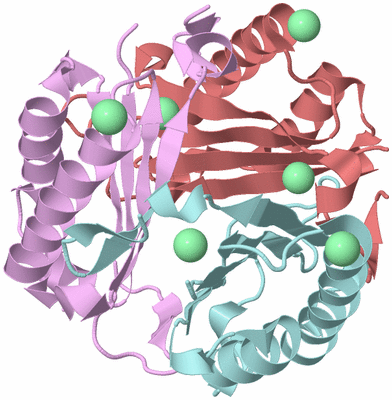 Image Biological Unit 3