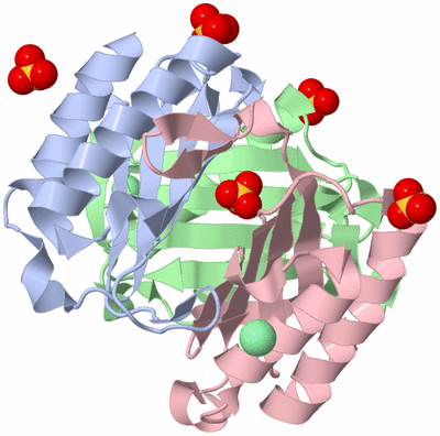 Image Asym./Biol. Unit