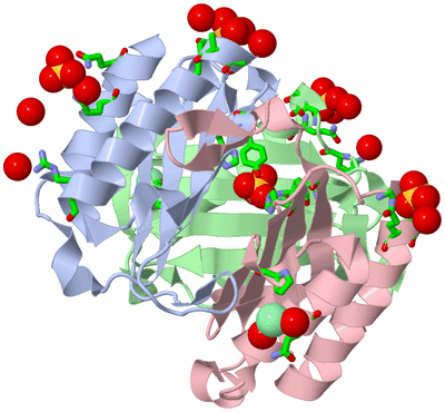 Image Asym./Biol. Unit - sites