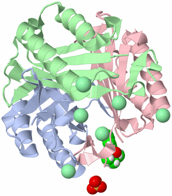 Image Asym./Biol. Unit