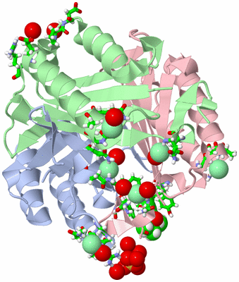 Image Asym./Biol. Unit - sites