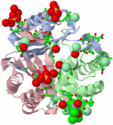 Image Asym./Biol. Unit - sites