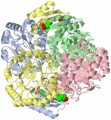 Image Asym./Biol. Unit