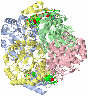 Image Asym./Biol. Unit - sites