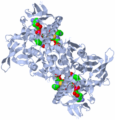 Image Biological Unit 1