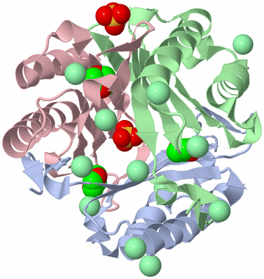 Image Asym./Biol. Unit