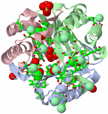 Image Asym./Biol. Unit - sites