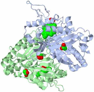 Image Asym./Biol. Unit