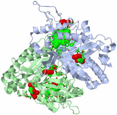 Image Asym./Biol. Unit - sites