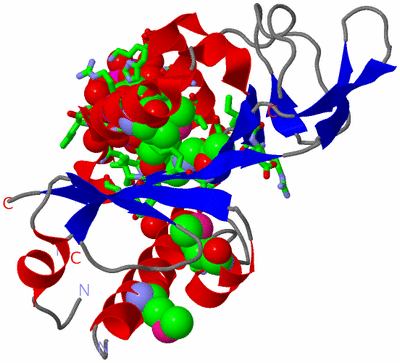 Image Asym./Biol. Unit - sites