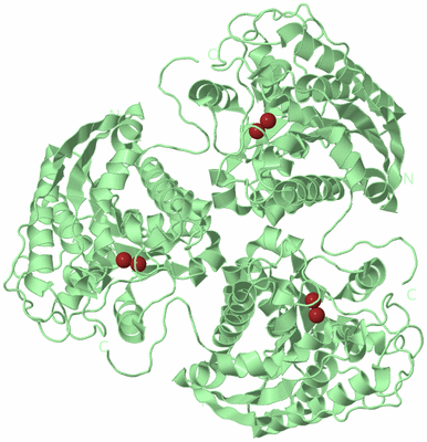 Image Biological Unit 2