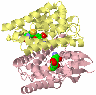 Image Biological Unit 2