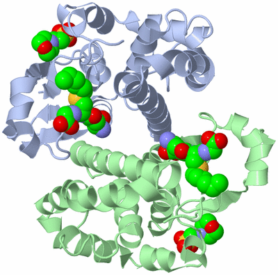 Image Asym./Biol. Unit