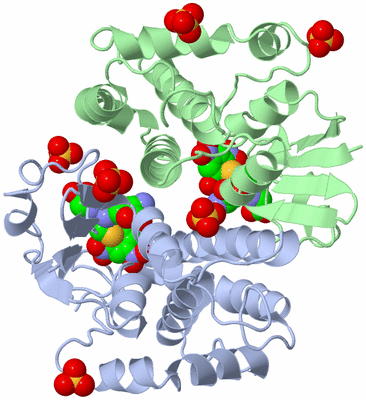 Image Asym./Biol. Unit