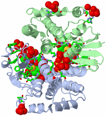 Image Asym./Biol. Unit - sites