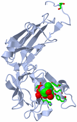 Image Biol. Unit 1 - sites