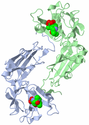 Image Biological Unit 3