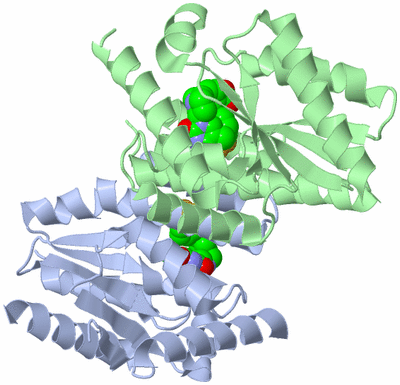 Image Biological Unit 3