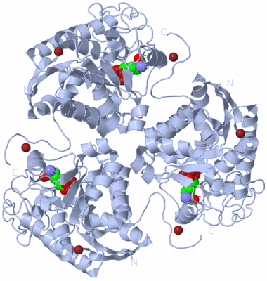 Image Biological Unit 1