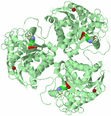 Image Biological Unit 2