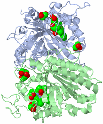 Image Biological Unit 1