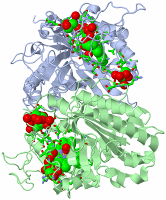 Image Biol. Unit 1 - sites