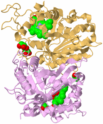 Image Biological Unit 2