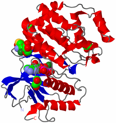 Image Asym./Biol. Unit