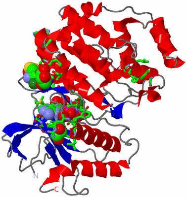 Image Asym./Biol. Unit - sites