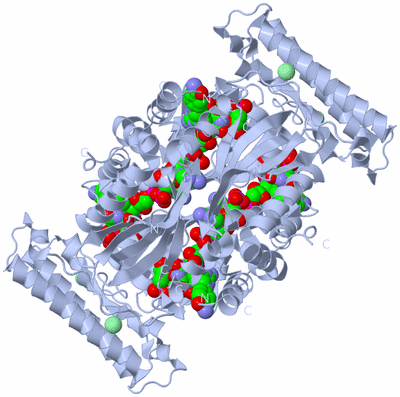 Image Biological Unit 1