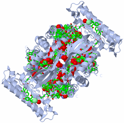 Image Biol. Unit 1 - sites