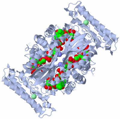 Image Biological Unit 1