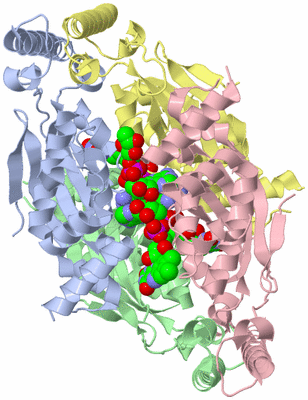 Image Asym./Biol. Unit