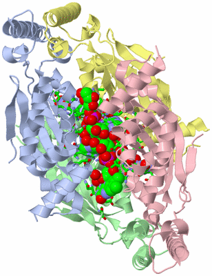 Image Asym./Biol. Unit - sites