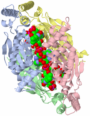 Image Asym./Biol. Unit