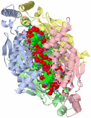 Image Asym./Biol. Unit - sites