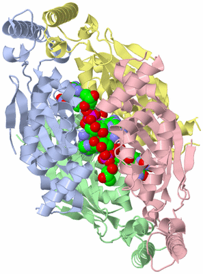 Image Asym./Biol. Unit