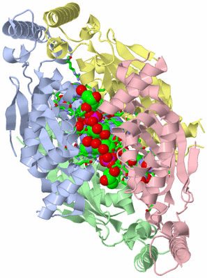 Image Asym./Biol. Unit - sites