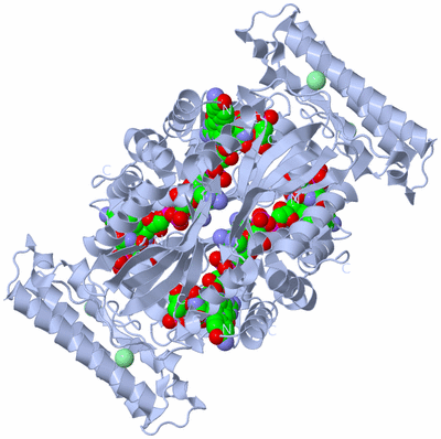 Image Biological Unit 1