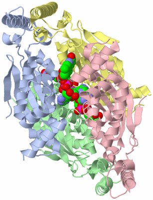 Image Asym./Biol. Unit