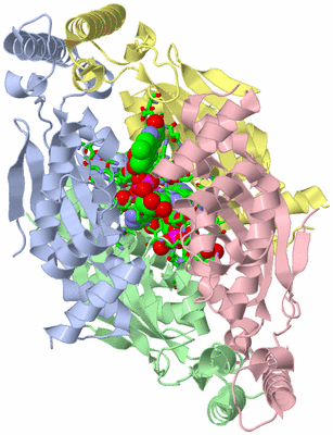 Image Asym./Biol. Unit - sites