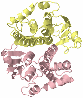 Image Biological Unit 2