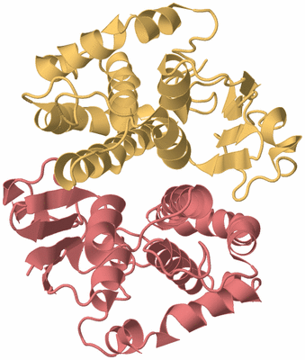 Image Biological Unit 4