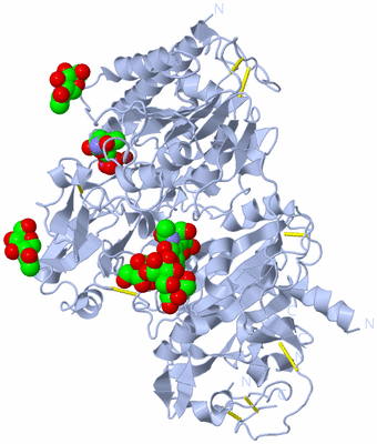 Image Biological Unit 1