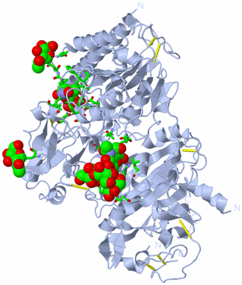 Image Biol. Unit 1 - sites