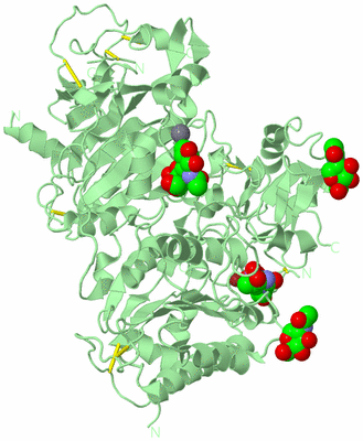 Image Biological Unit 2