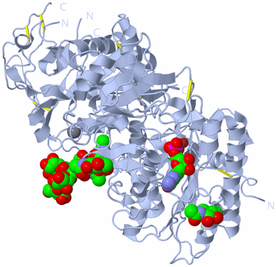 Image Biological Unit 1