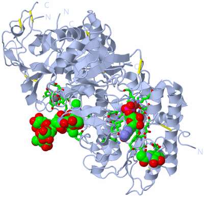 Image Biol. Unit 1 - sites