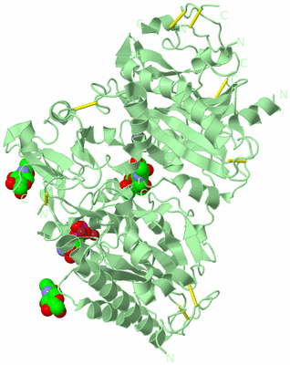 Image Biological Unit 2